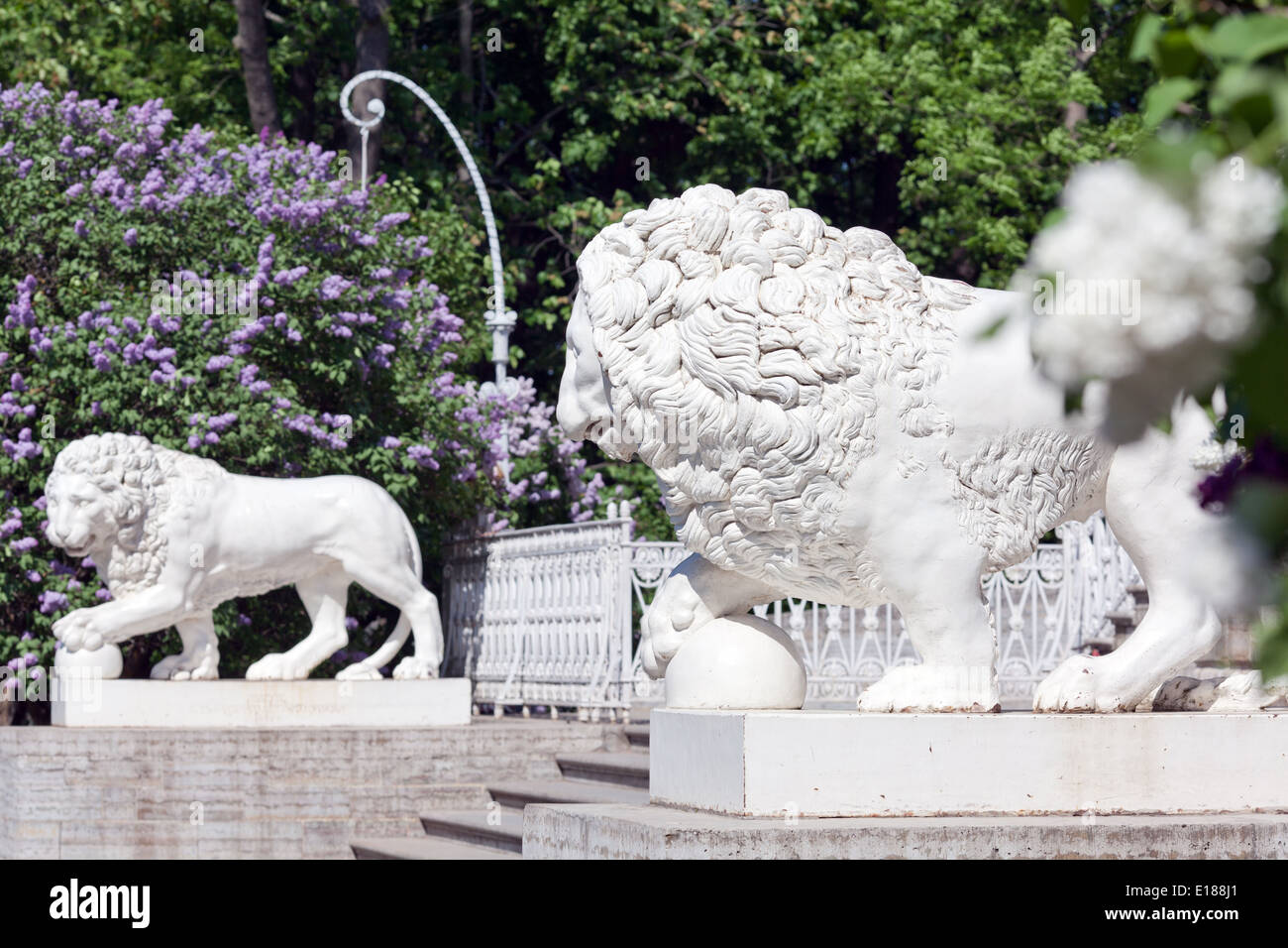 Sculpture du lion au palais Yelagin à Saint-Pétersbourg, Russie, lilac bush, printemps Banque D'Images