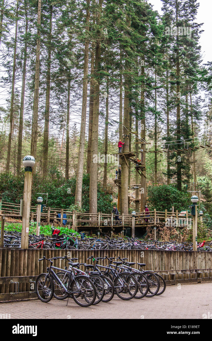 Le stationnement des vélos à Center Parcs Longleat, Witshire, Angleterre, Royaume-Uni. Banque D'Images