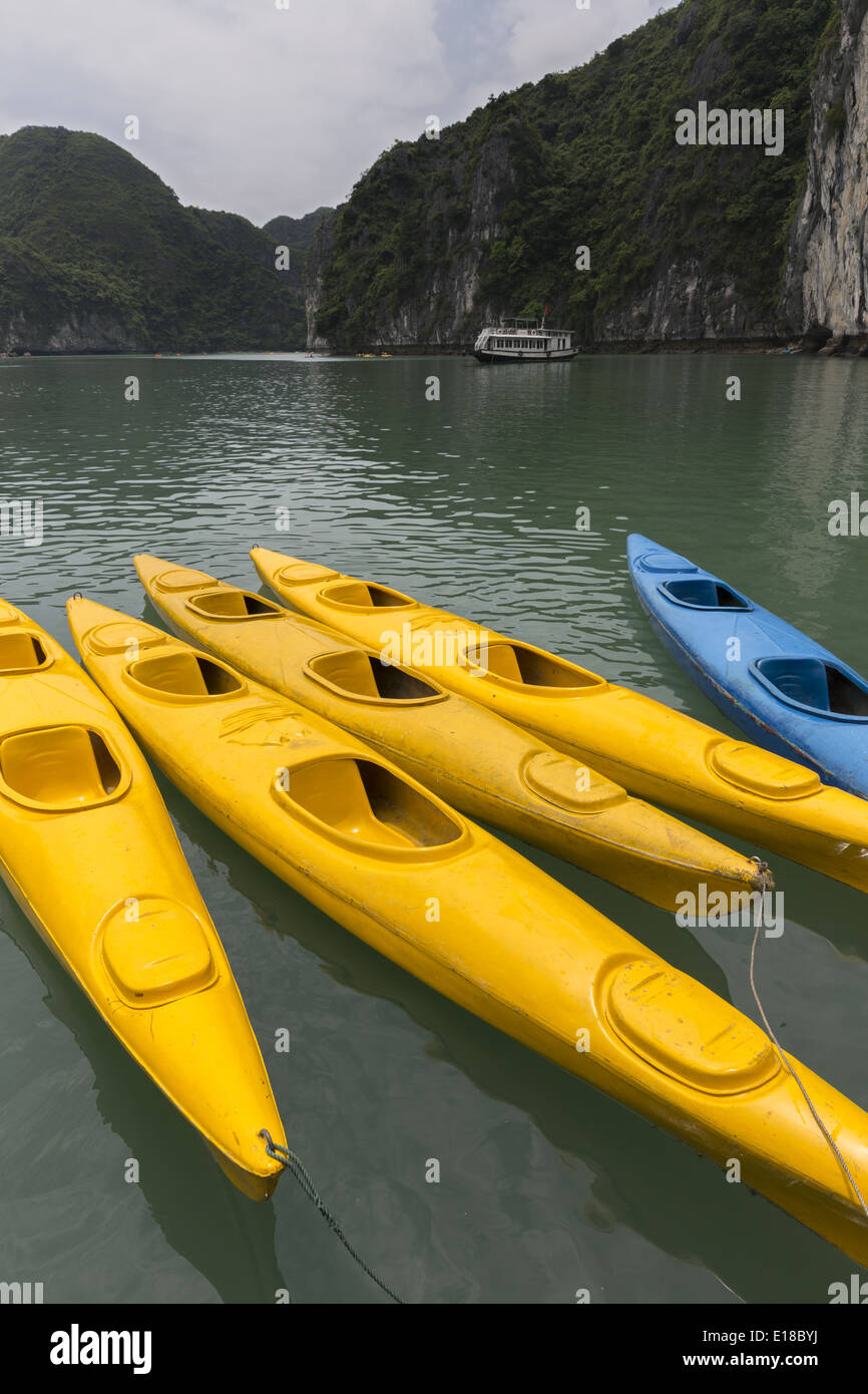 Canoës pour les touristes pour naviguer entre les îlots de la Baie d'Ha Long Banque D'Images