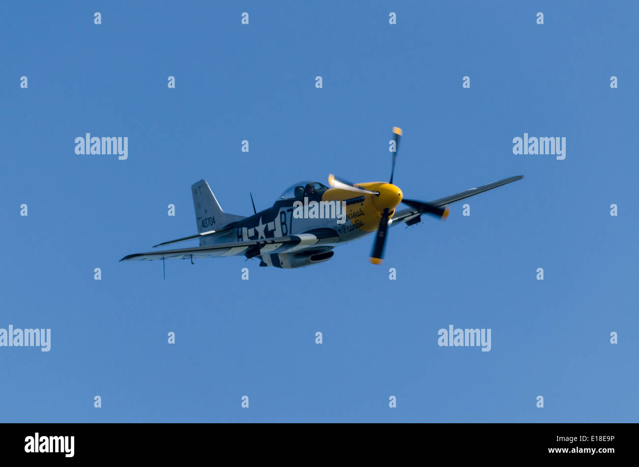 P51 Mustang avion de chasse Banque D'Images