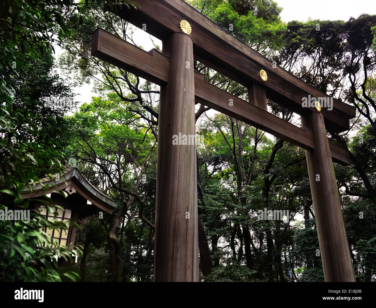 Torii en bois du sanctuaire de Meiji à Harajuku, Tokyo, Japon. Banque D'Images