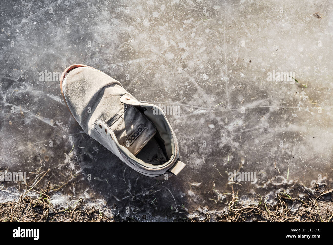 La chaussure de sport portés sur la flaque gelée Banque D'Images