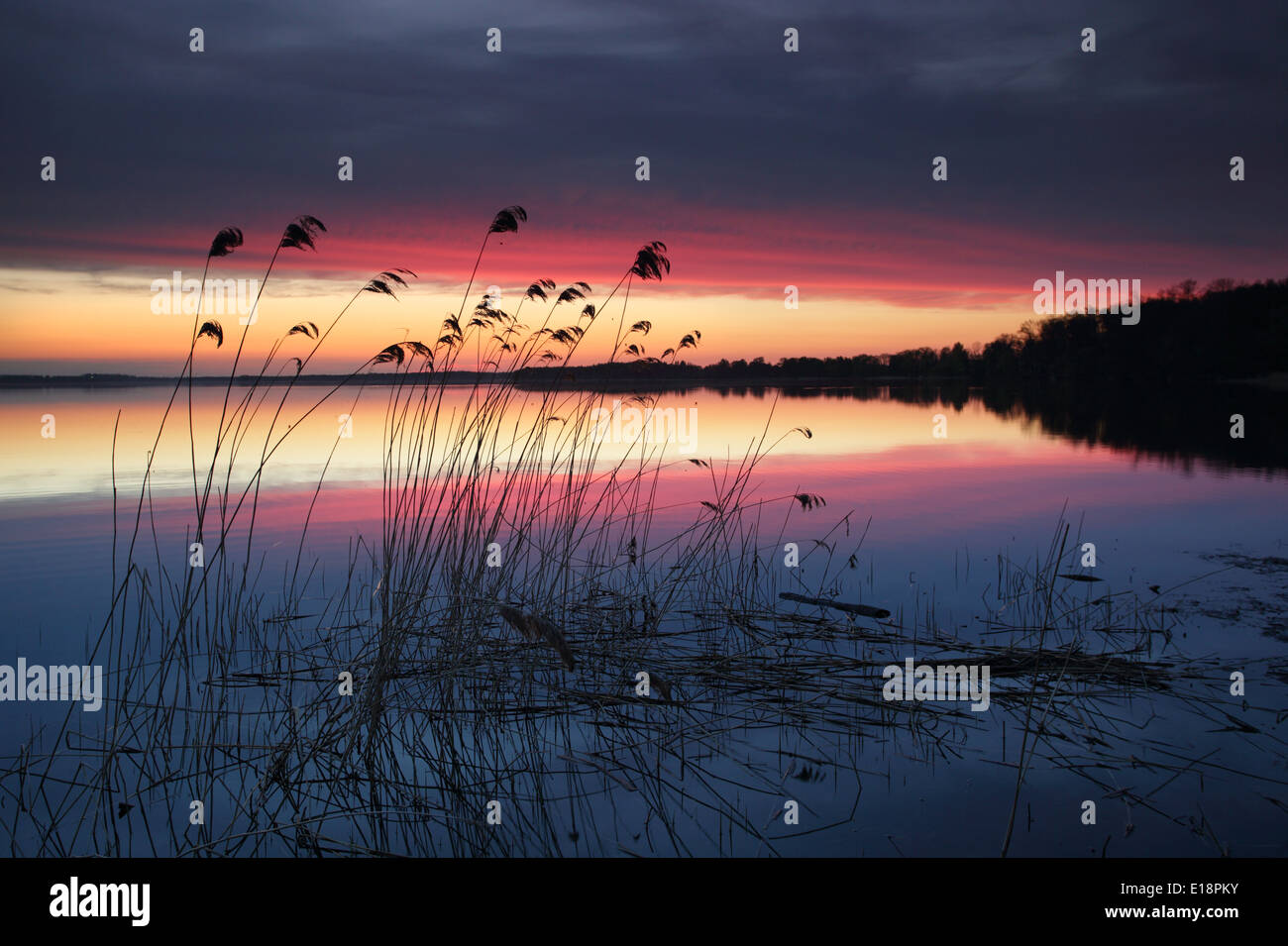 Saadjärv Lac au coucher du soleil. L'Estonie, Europe Banque D'Images