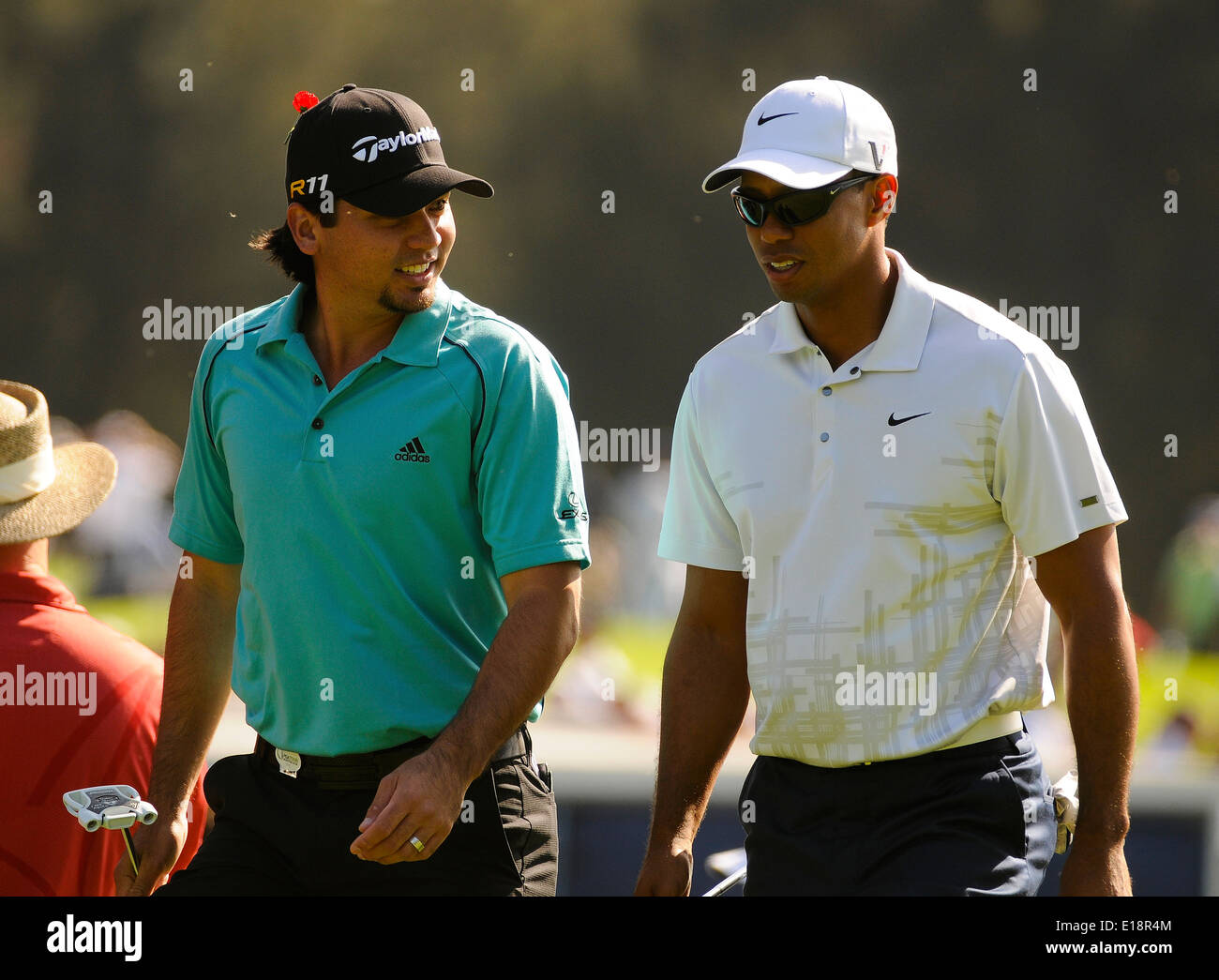 Sydney - le 11 novembre 2011. Jason Day et Tiger Woods au cours du deuxième tour de l'Open d'Australie au lacs de golf. Banque D'Images