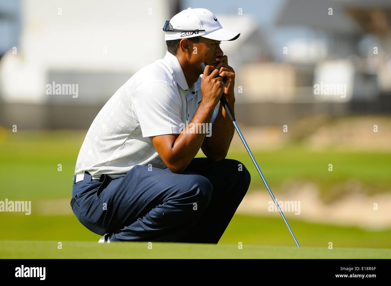 Sydney - le 11 novembre 2011. Tiger Woods examine son putt au deuxième tour de l'Open d'Australie au lacs de golf. Banque D'Images