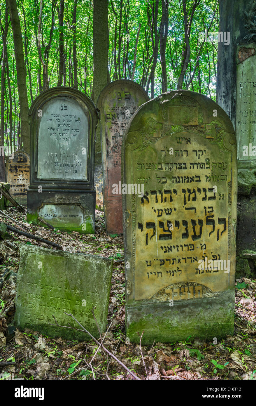 Pierres tombales au cimetière juif de Varsovie, Pologne Banque D'Images