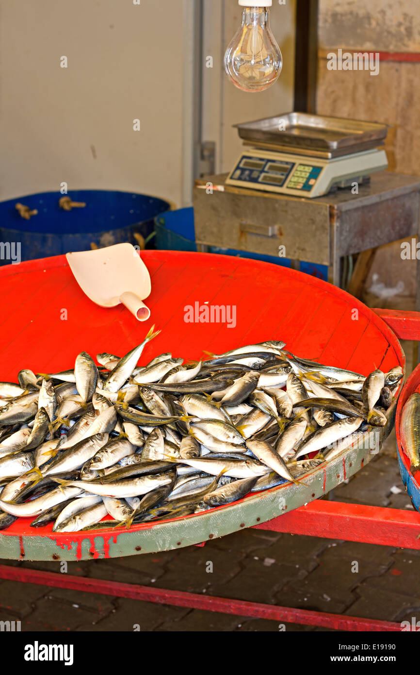 Poisson frais pour la vente sur le marché turc en plein air Banque D'Images