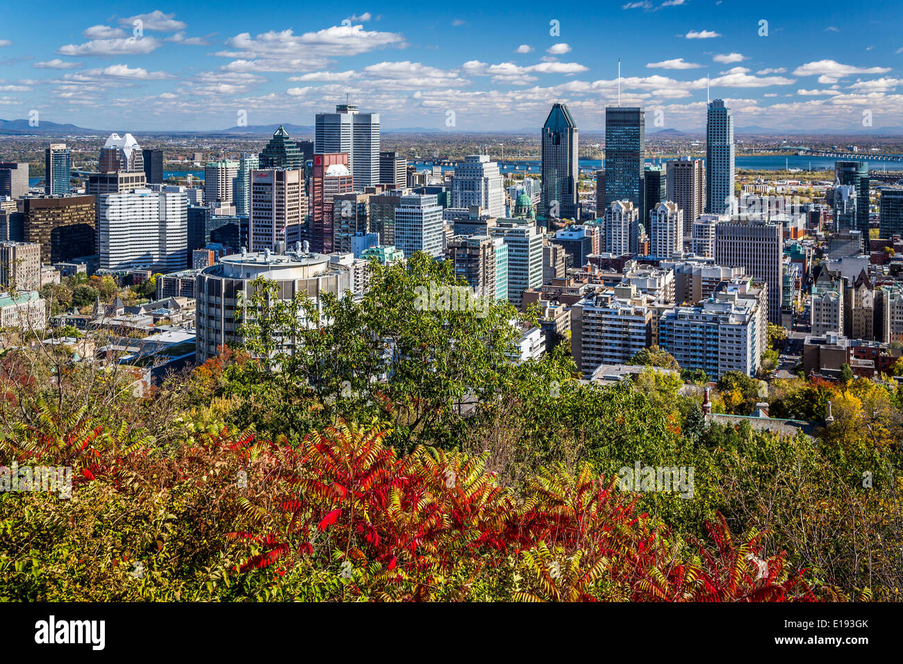 L'horizon de la ville avec la couleur des feuilles d'automne du parc du mont Royal à Montréal, Québec, Canada. Banque D'Images