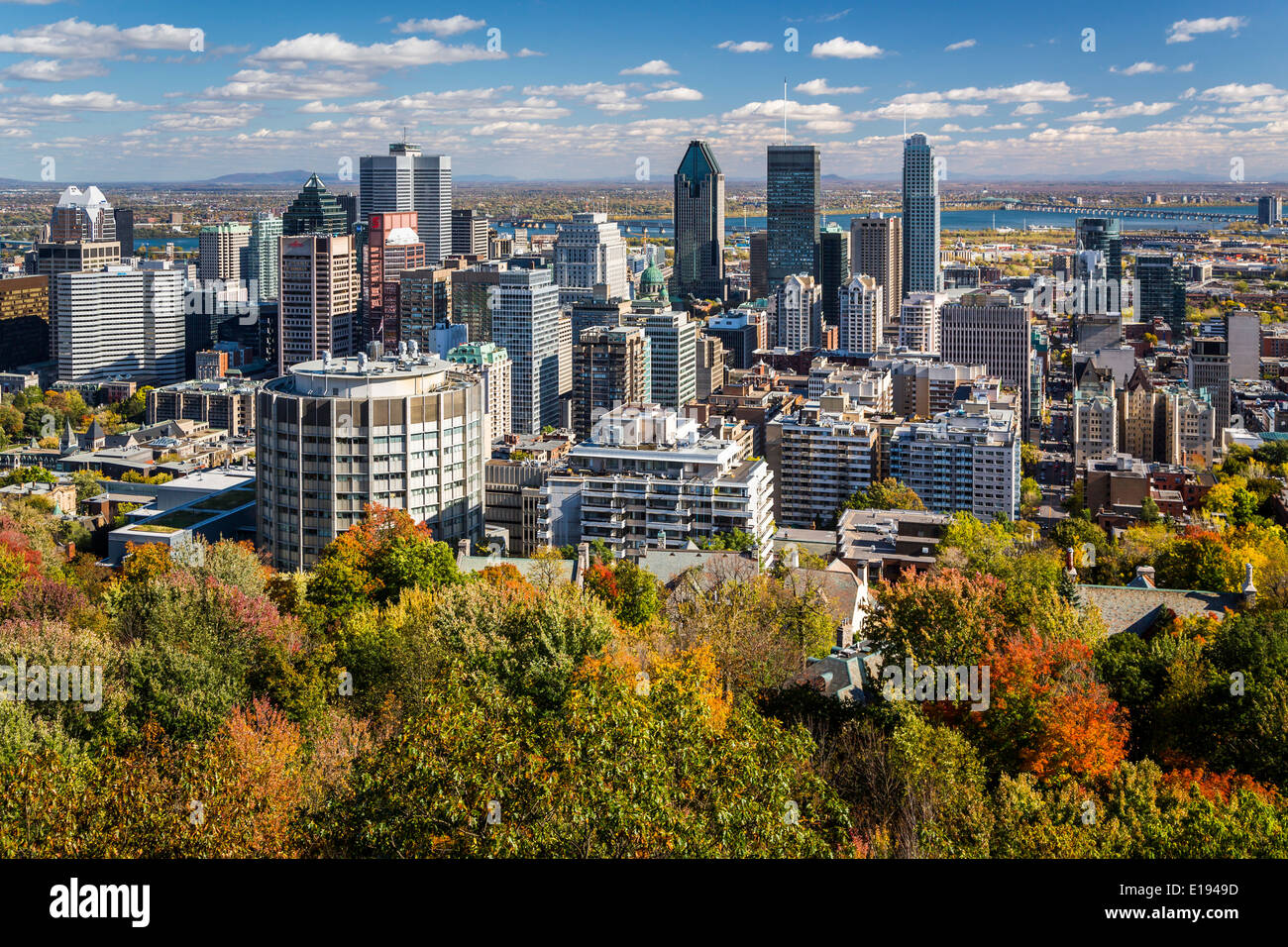 L'horizon de la ville avec la couleur des feuilles d'automne du parc du mont Royal à Montréal, Québec, Canada. Banque D'Images