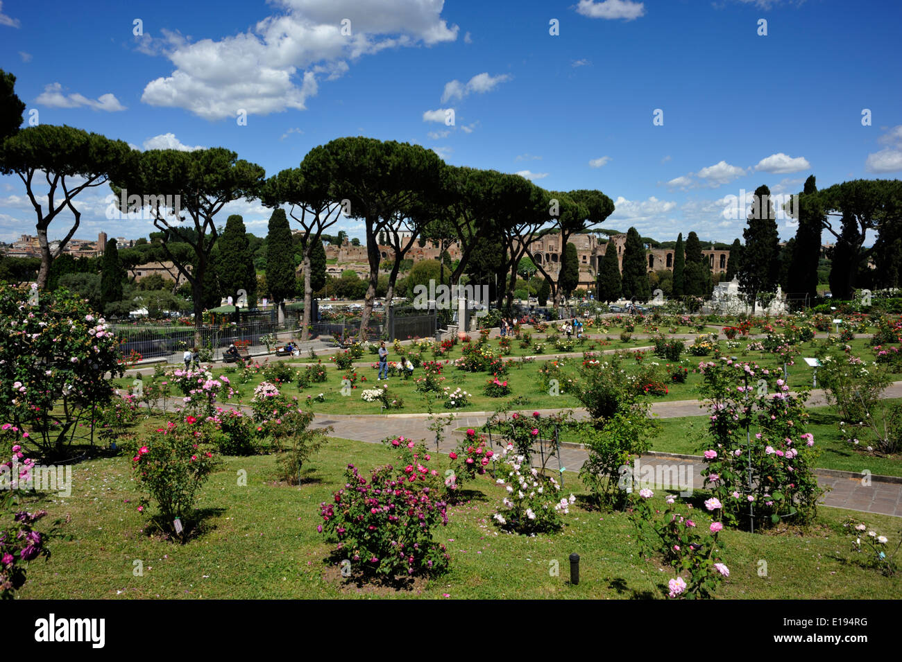 Italie, Rome, l'Aventino, Rocca comunale, municipal rose garden Banque D'Images