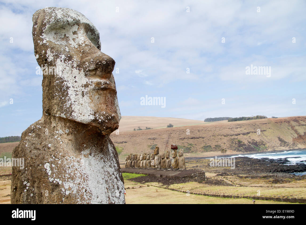 Gros plan du visage de statue en pierre sculpté géant et dans l'arrière-plan quinze statues appelées moai sur une roche plate-forme appelée abu Banque D'Images