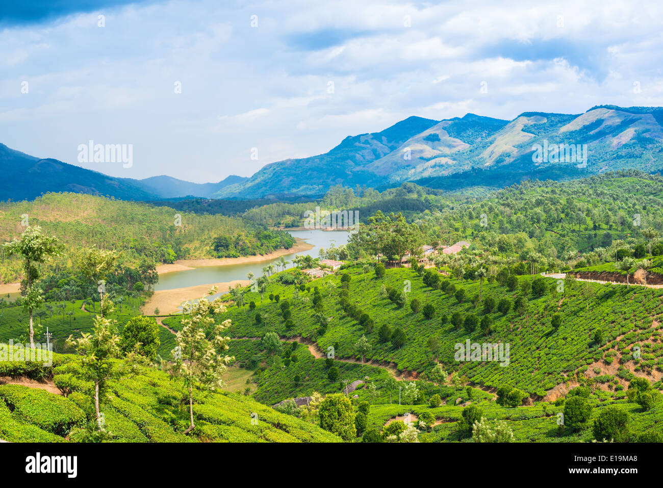 Magnifique paysage de montagne, les plantations de thé et la rivière de l'Inde, le Kerala, Munnar Banque D'Images