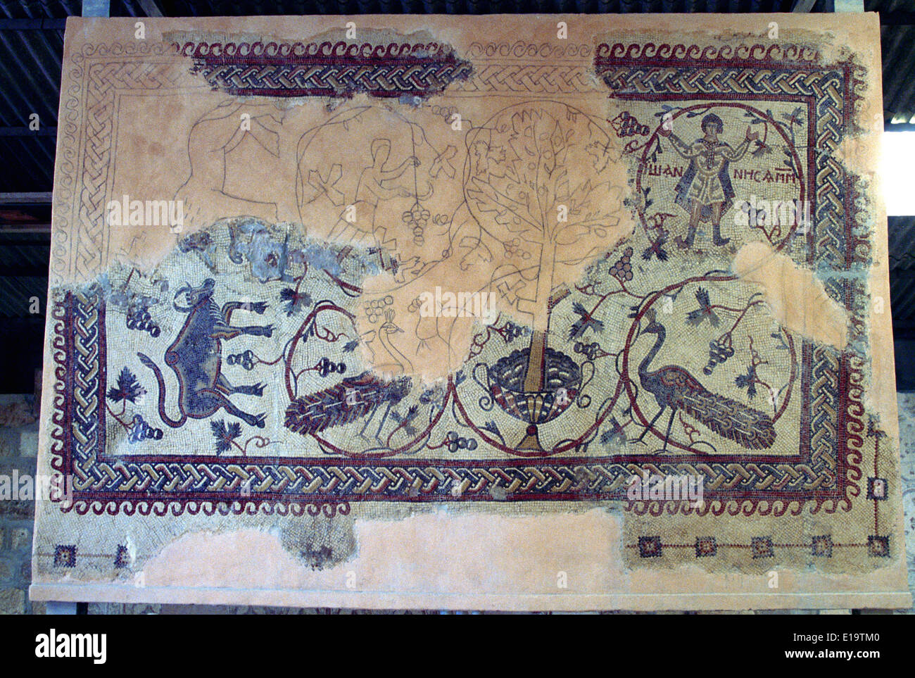Mount Nebo Jordan Memorial Church of Moses Mosaic Missing Parts enclées Banque D'Images