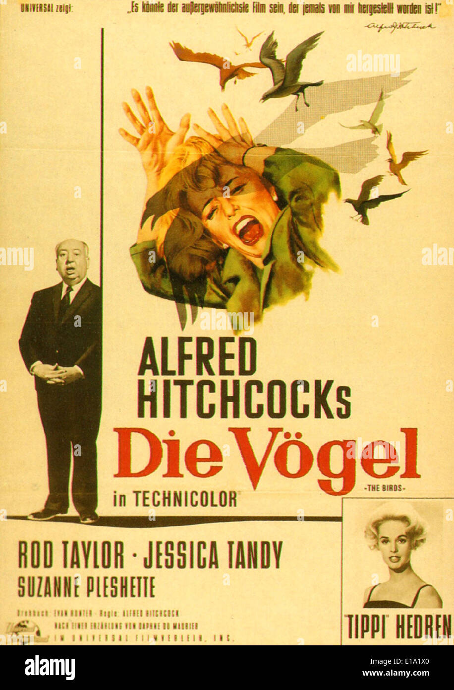 Les oiseaux - Affiche de film allemand Die Vogel ' '- Réalisation : Alfred Hitchcock Banque D'Images