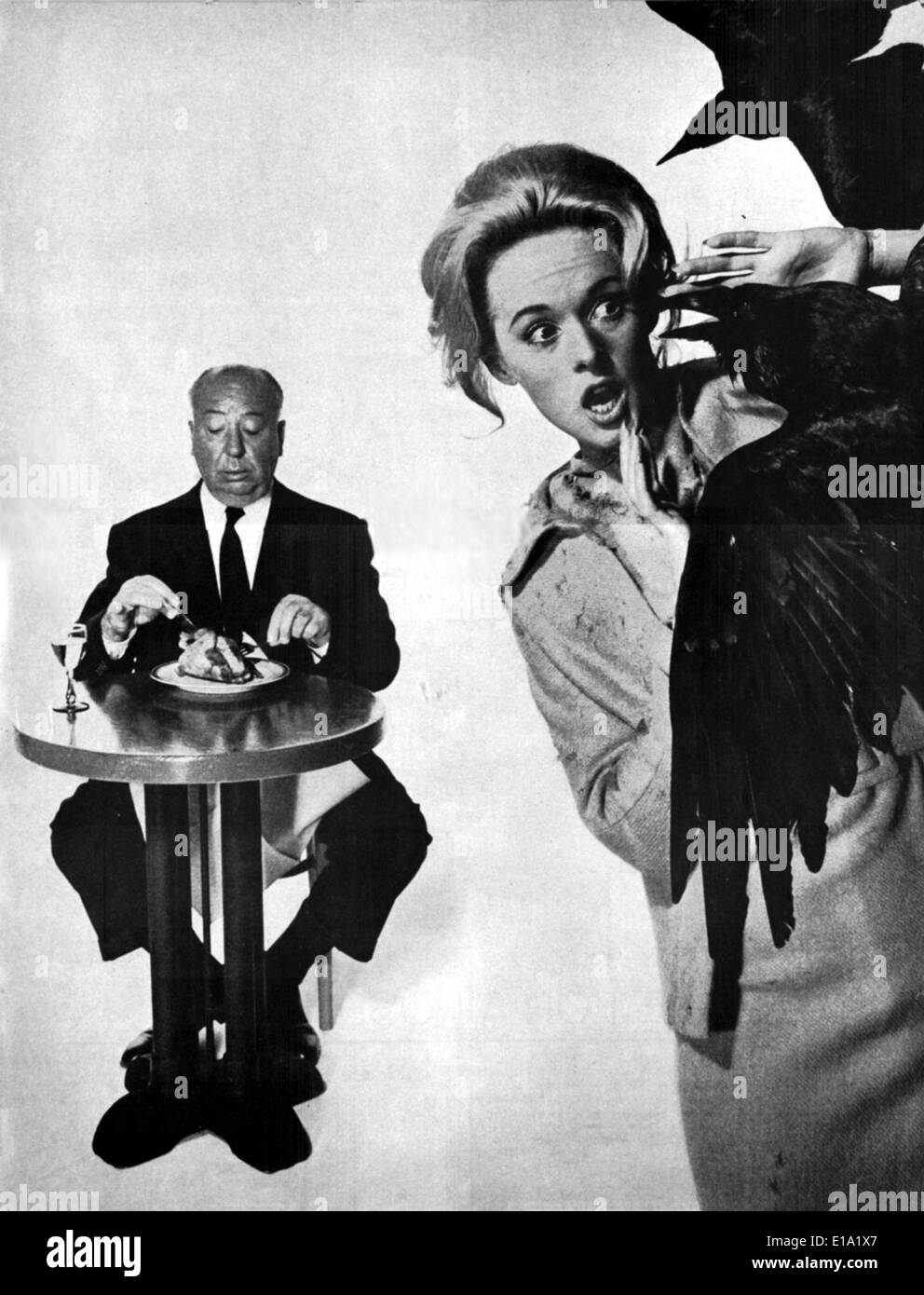Les oiseaux - Alfred Hitchcock et Tippi Hedren un crochet Banque D'Images