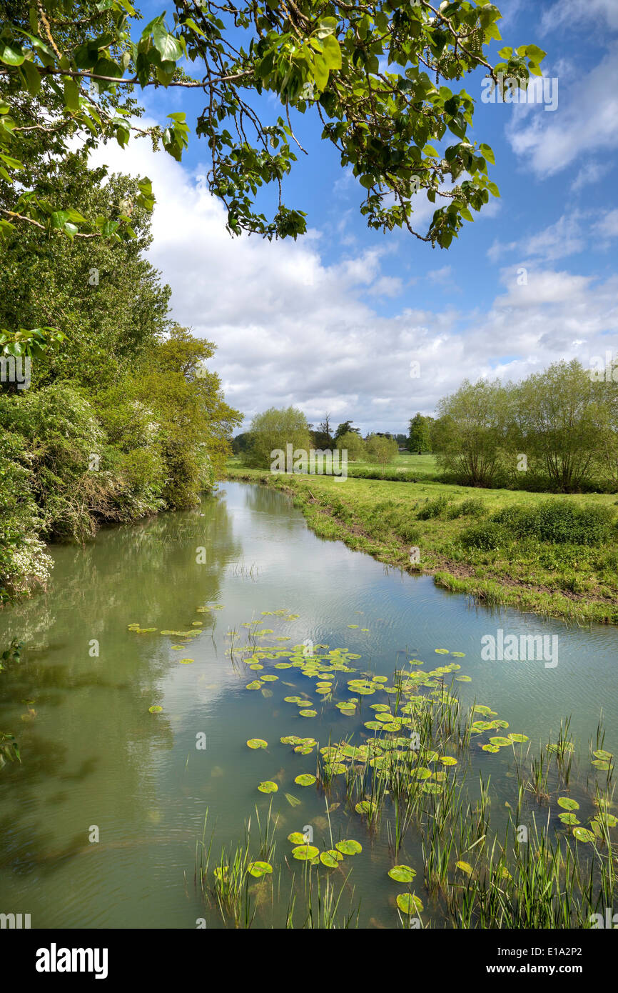 Au printemps rivière Stour, Warwickshire, en Angleterre. Banque D'Images