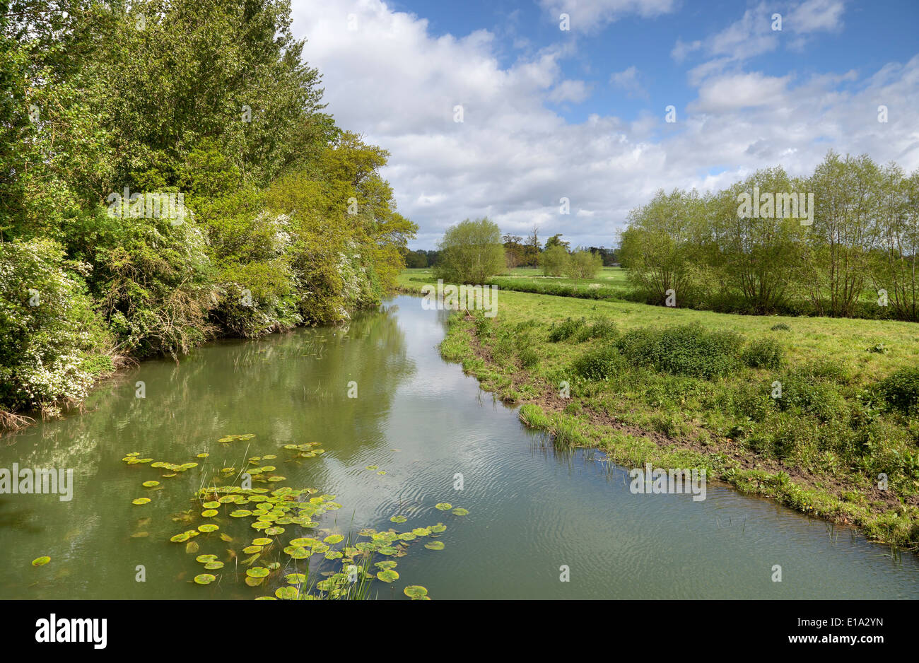 Au printemps rivière Stour, Warwickshire, en Angleterre. Banque D'Images