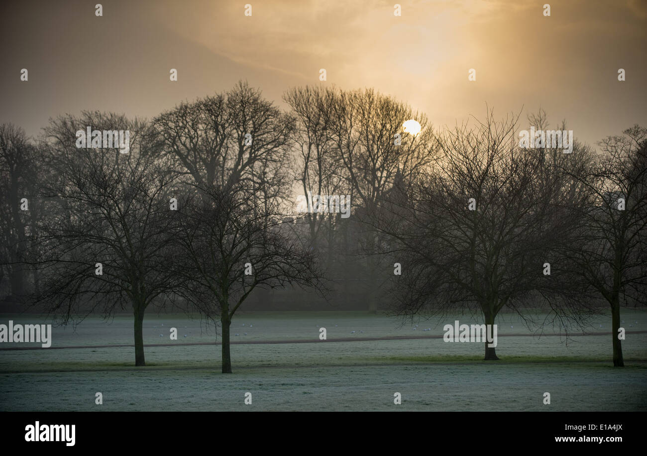 Le soleil se lève sur un matin brumeux à Cambridge, le 21 janvier 2014. Banque D'Images