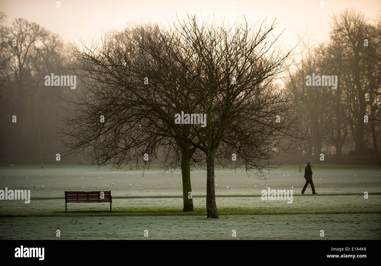 Un walker jouit du matin brumeux à Cambridge, le 21 janvier 2014. Banque D'Images