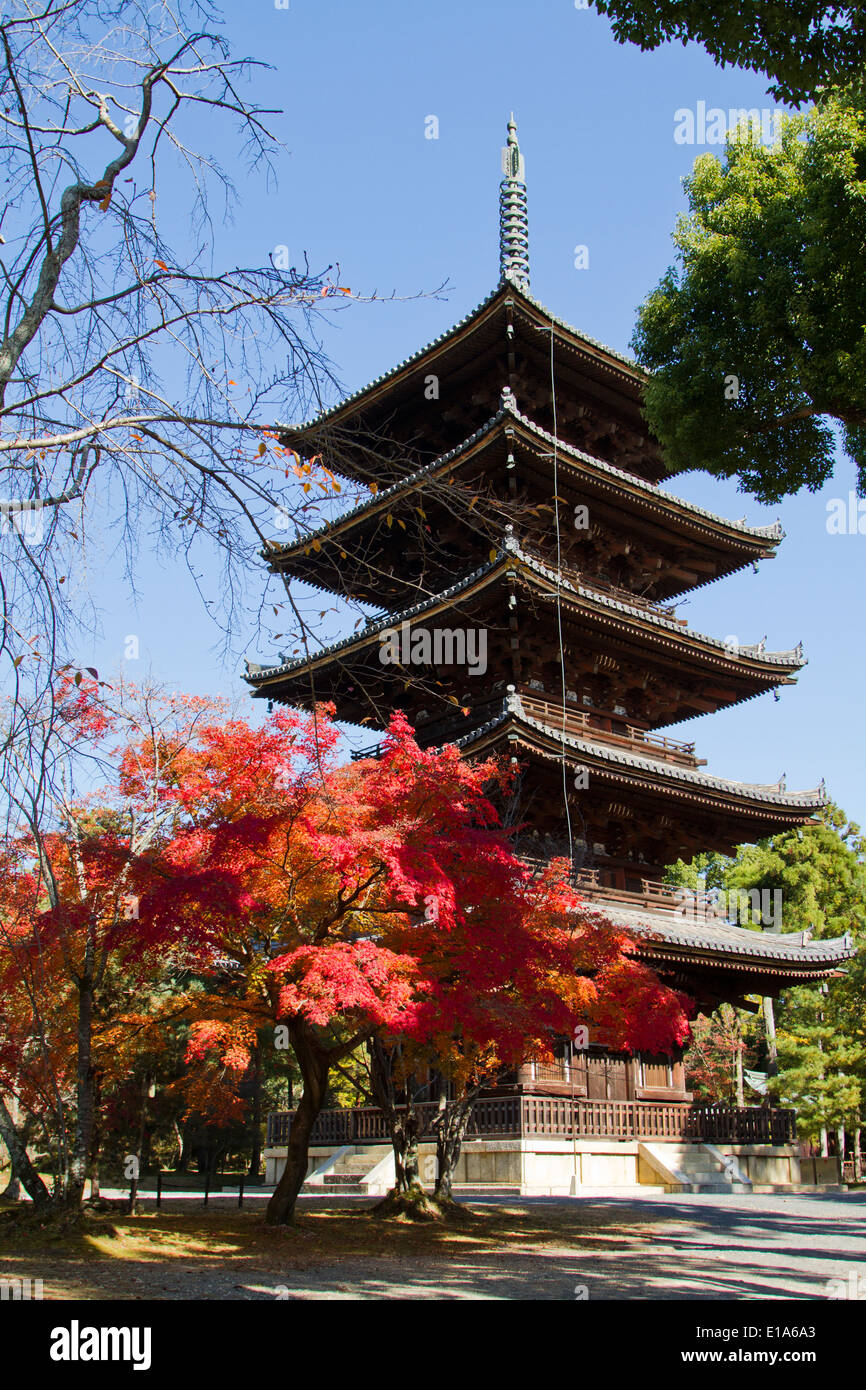 Le Japon, Kyoto, temple Tō-ji Banque D'Images