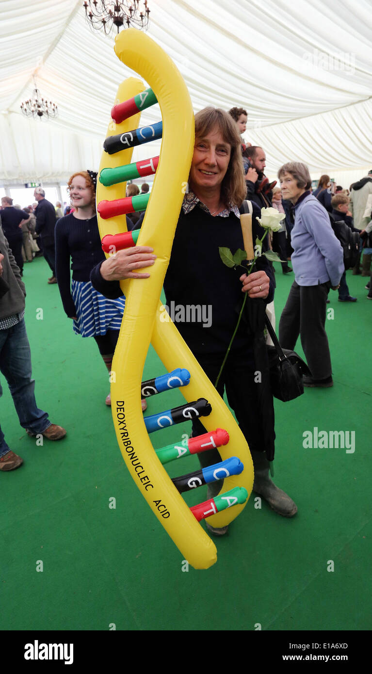 Hay on Wye, Powys, Pays de Galles, Royaume-Uni. 28 mai 2014. Photo : une femme portant un sac gonflable de l'acide désoxyribonucléique ADN. Re : Le Hay Festival, Hay on Wye, Powys, Pays de Galles, Royaume-Uni. Credit : D Legakis/Alamy Live News Banque D'Images