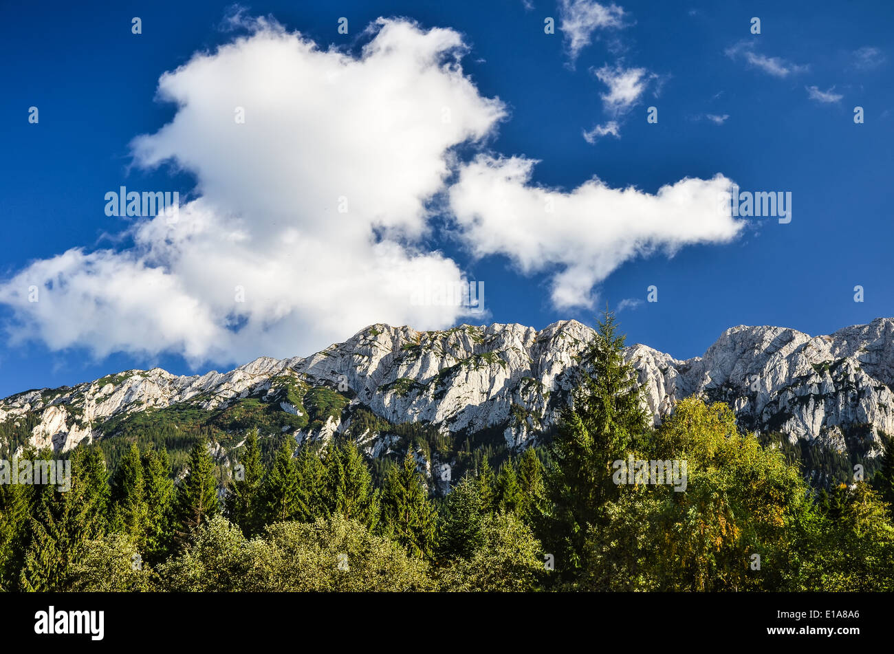 Paysage de plein air avec plage montagnes des Carpates en Roumanie, le parc national de Piatra Craiului. Banque D'Images