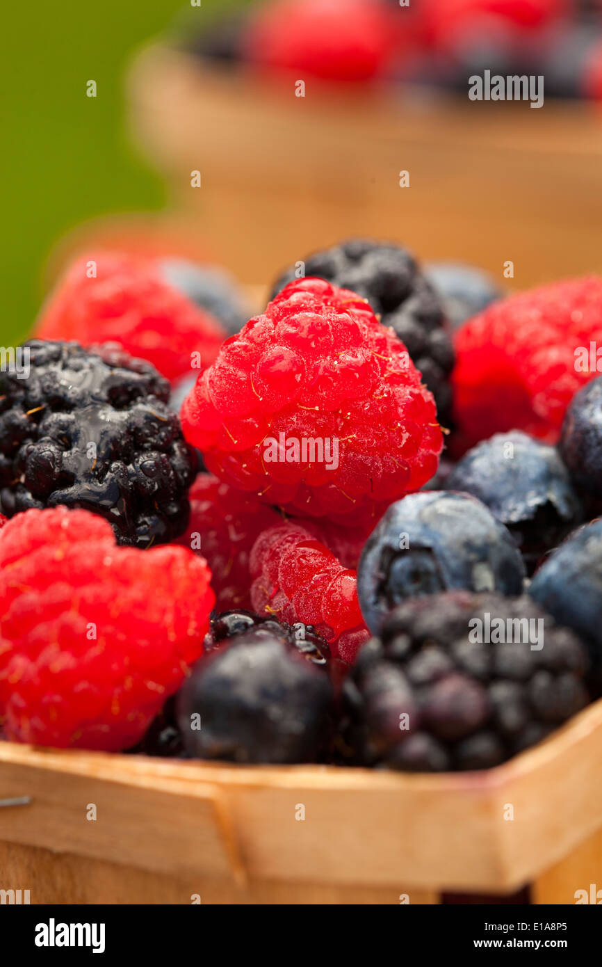 Les baies mûres biologiques sains avec Les Bleuets Framboises et mûres Banque D'Images