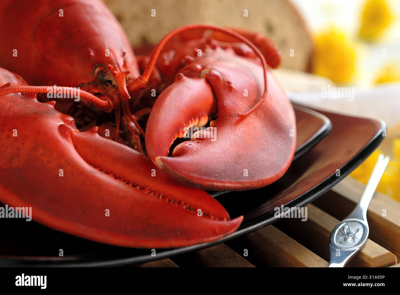 Un homard de l'Atlantique à la coque avec du pain frais et des citrons. Banque D'Images