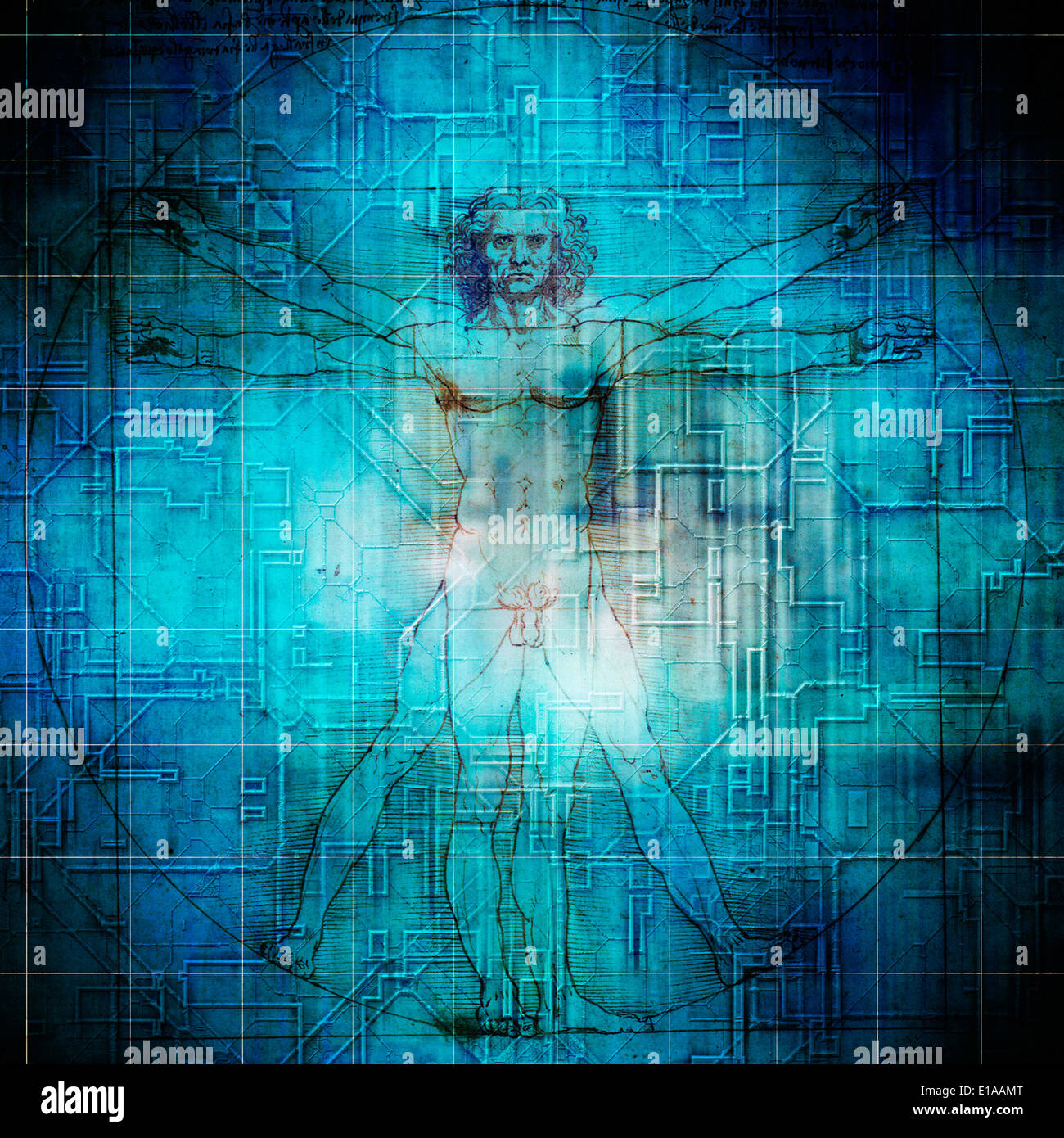 L'homme de Vitruve Vitruve, artistique ou composite Banque D'Images