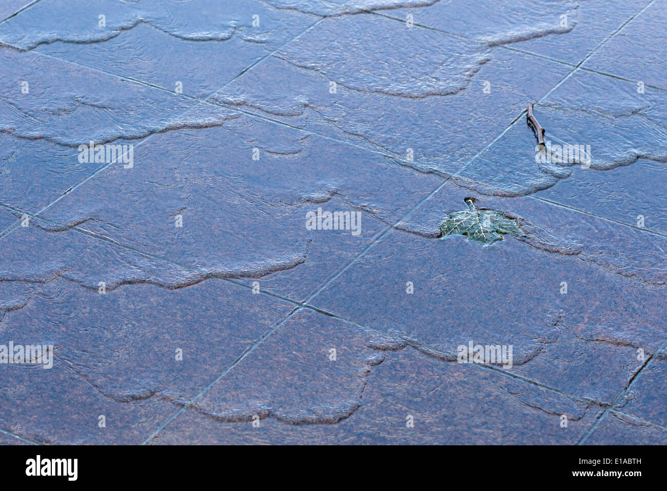 Compte tenu de l'abstrait, Vert Canada Memorial Park, Londres l'érable Bronze feuilles flottant dans l'eau Banque D'Images