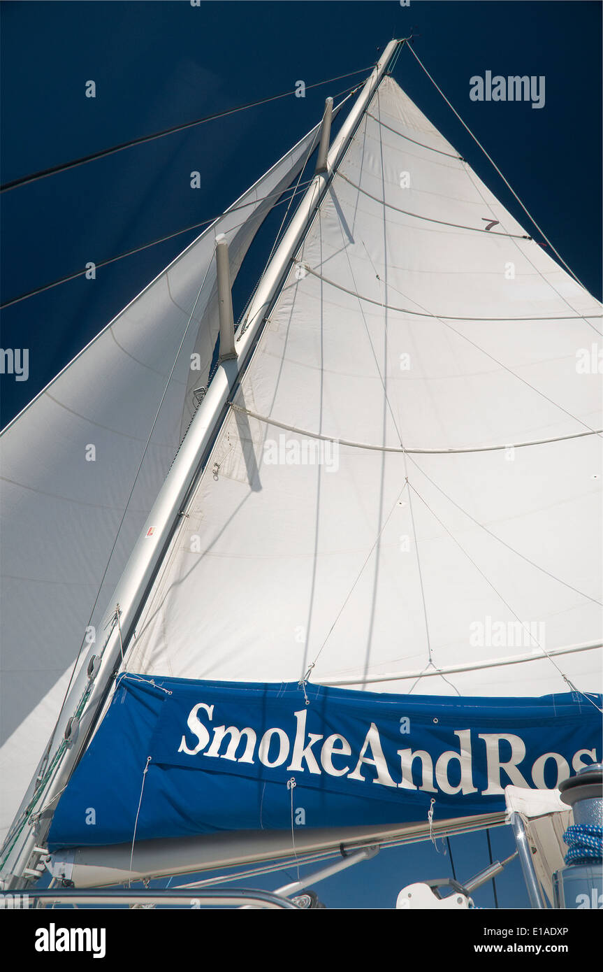 La fumée et les navires à voile Roses voiles flottant a son mât pendant la croisière de Charlotte Harbor. Banque D'Images