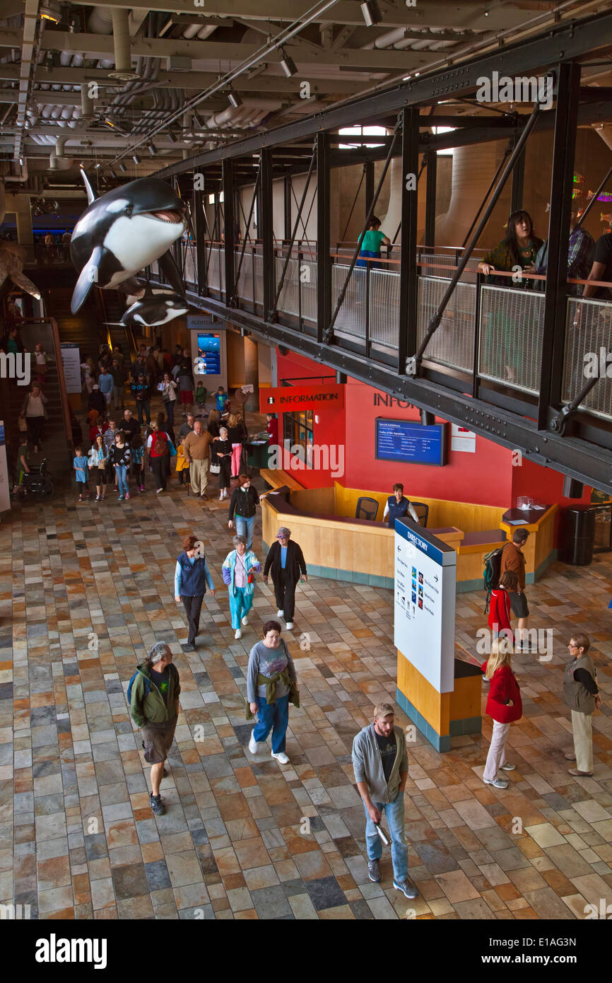 Les touristes aiment visiter l'Aquarium de Monterey Bay avec sa grande statue orca - Monterey, Californie Banque D'Images