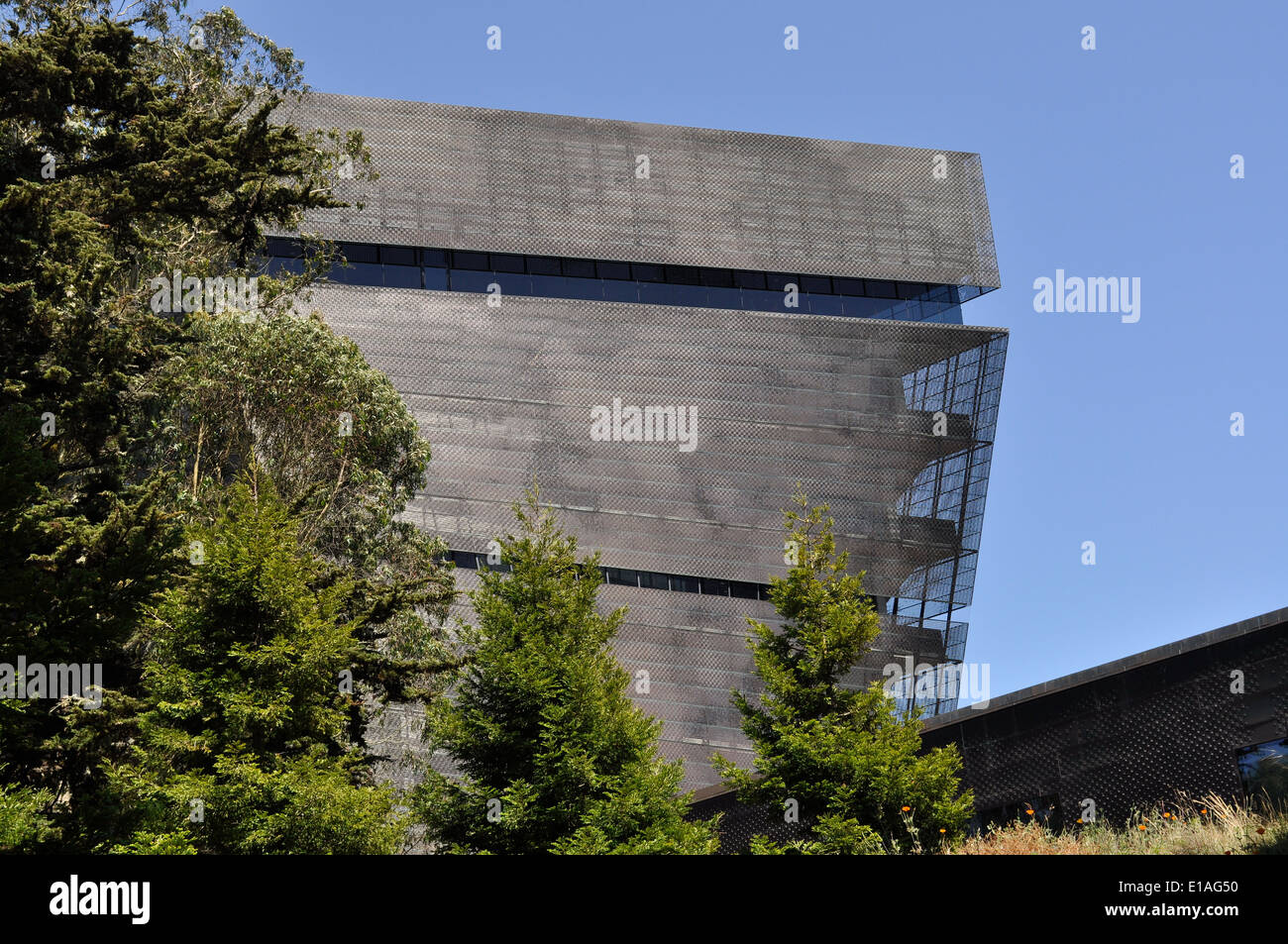 Tour d'observation d'Hamon, de Young Museum, Golden Gate Park, San Francisco Banque D'Images