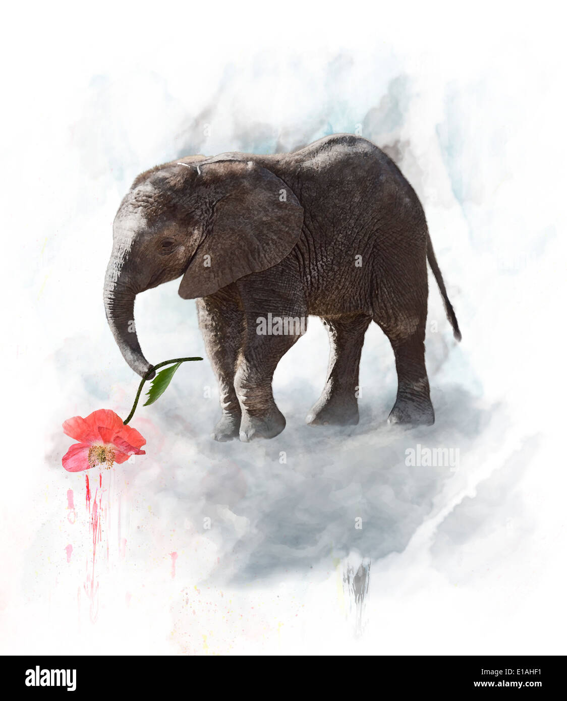 Jeune éléphant avec fleur rouge. Aquarelle Peinture numérique Banque D'Images