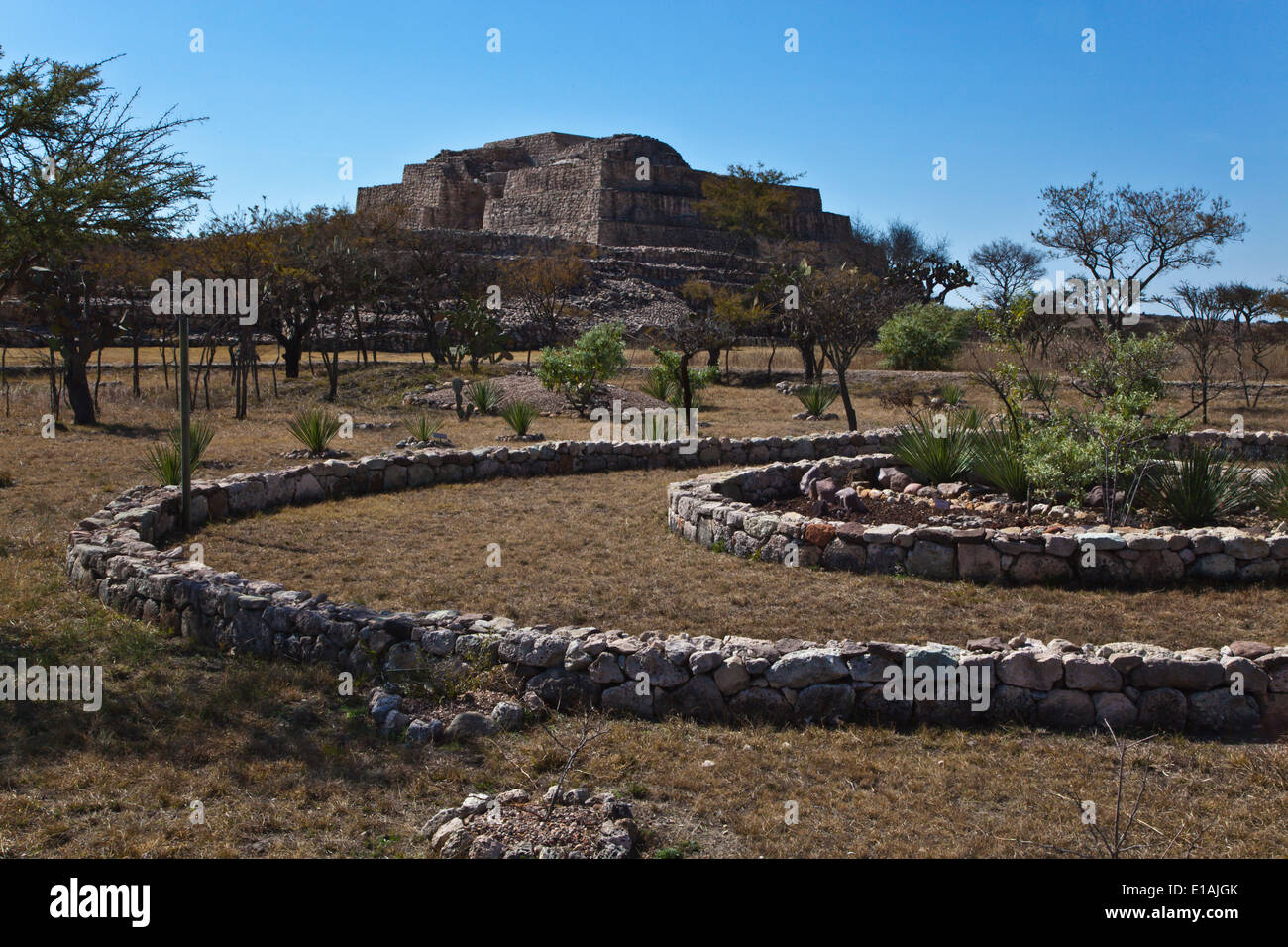 Jardin botanique du désert et le temple principal AU CANADA DE LA VIRGEN - site archéologique de San Miguel de Allende, Mexique Banque D'Images