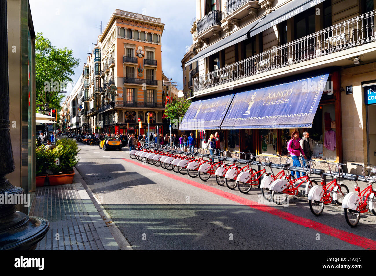 Vélos à louer sur La Rambla, Barcelone, Catalogne, Espagne Banque D'Images