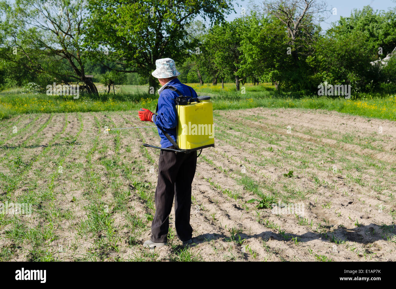 Agriculteur en injectant à partir d'une pompe manuelle dans le jardin. Banque D'Images