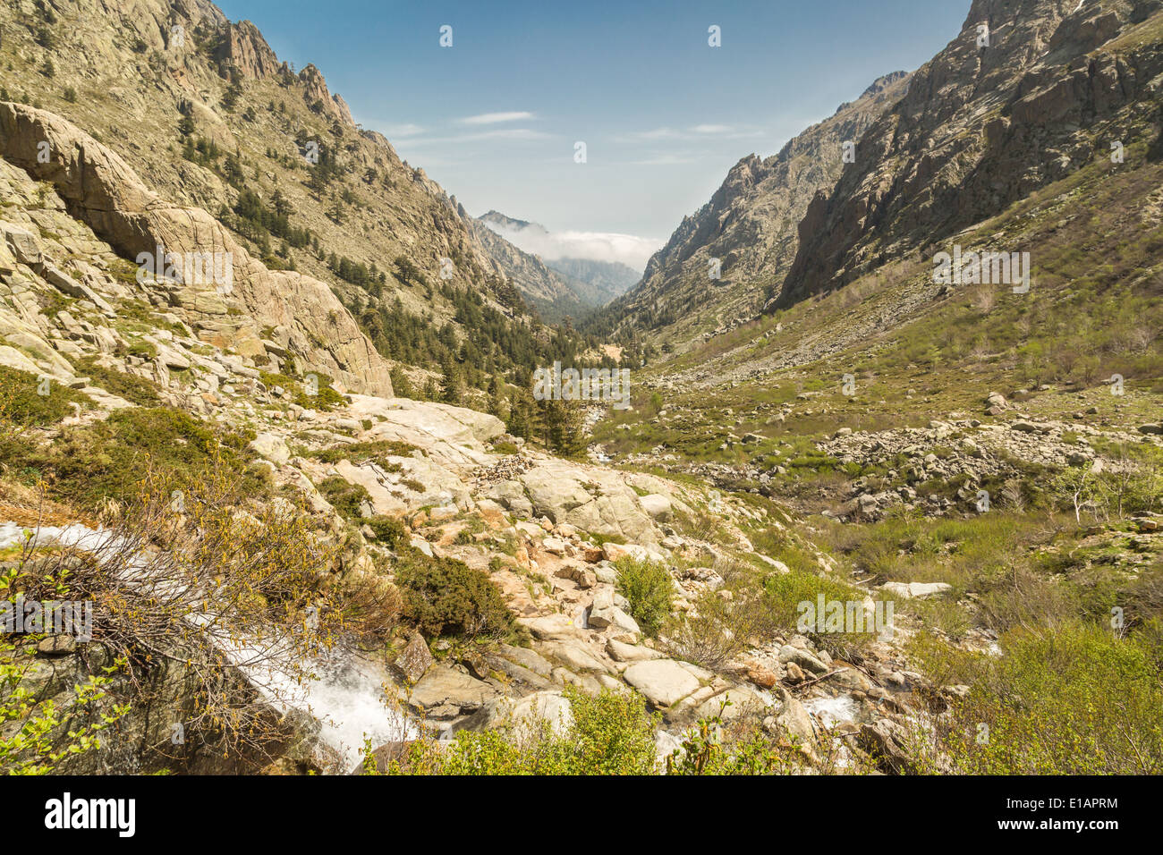 La vallée de la Restonica près de Corte dans le centre Corse Banque D'Images