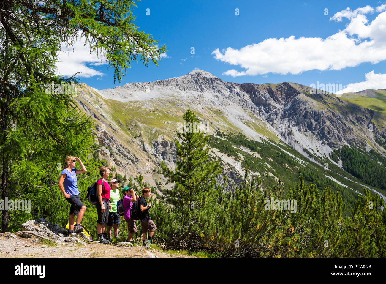 Randonneurs dans la vallée du Val Cluozza, Parc National Suisse, Grisons, Suisse Banque D'Images