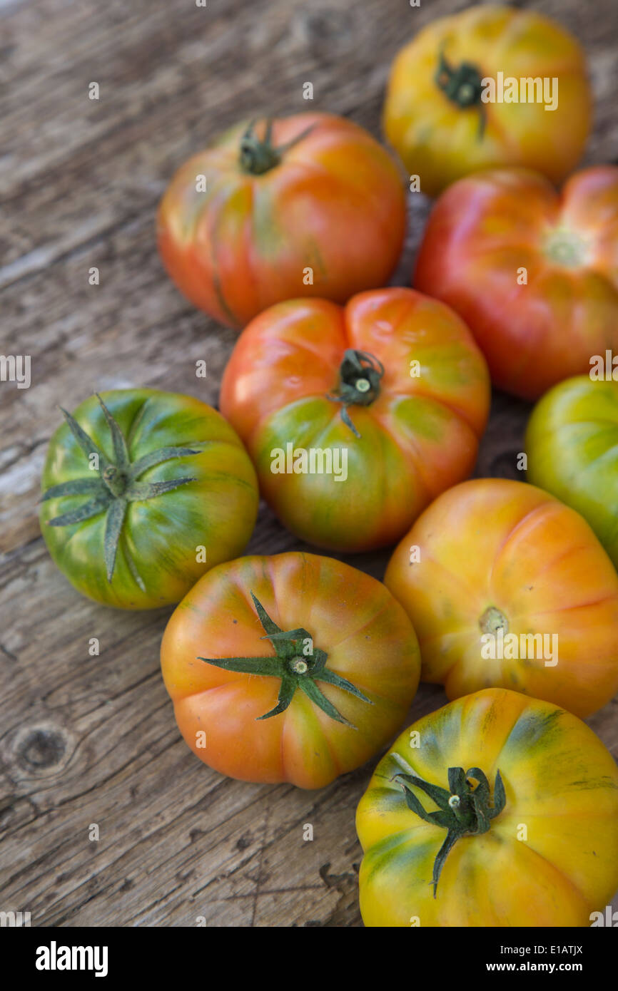 Groupe coloré de l'espagnol à rayures sur les tomates cultivées Raf conseil rustique en bois Banque D'Images