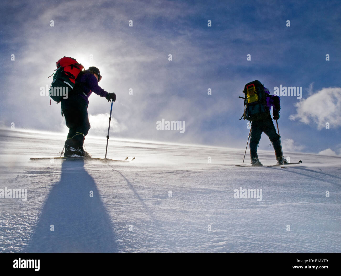 Ski-tourers luttant dans le vent fort et la poudrerie en Norvège Banque D'Images