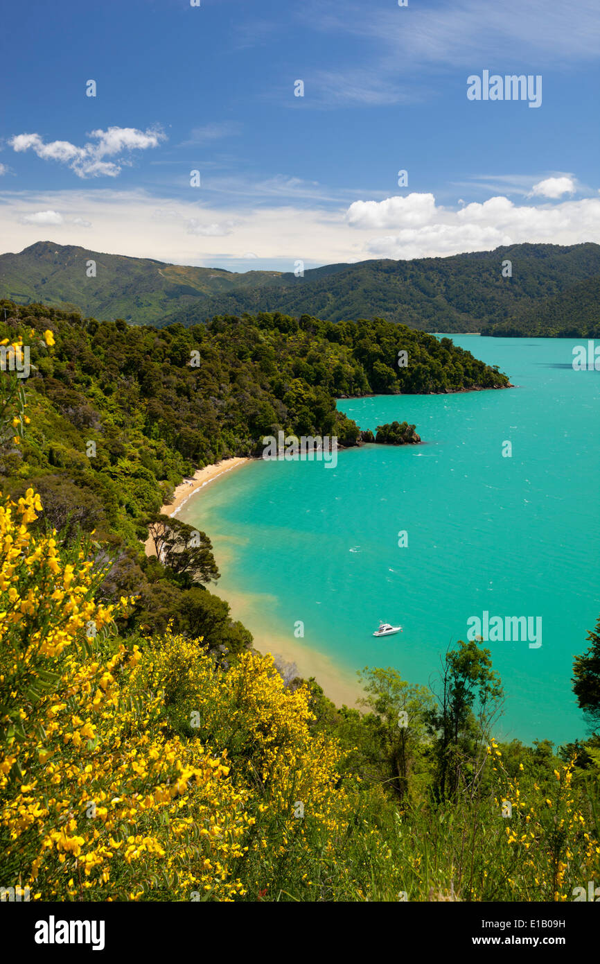 Gouverneurs Bay, Queen Charlotte Sound, près de Picton, région de Marlborough, île du Sud, Nouvelle-Zélande, Pacifique Sud Banque D'Images