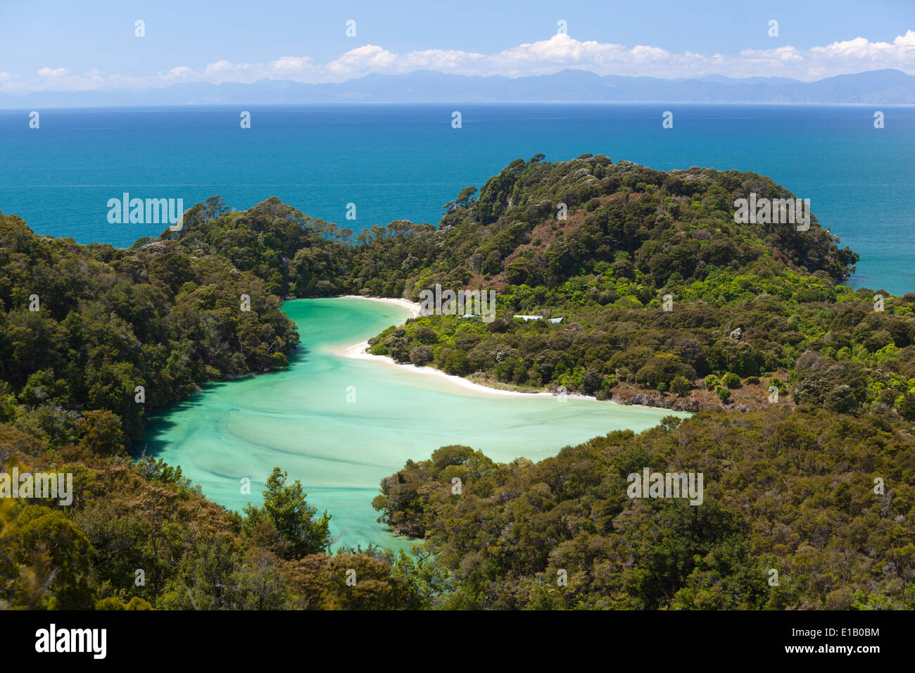 La baie des Français, Abel Tasman National Park, région de Nelson, île du Sud, Nouvelle-Zélande, Pacifique Sud Banque D'Images