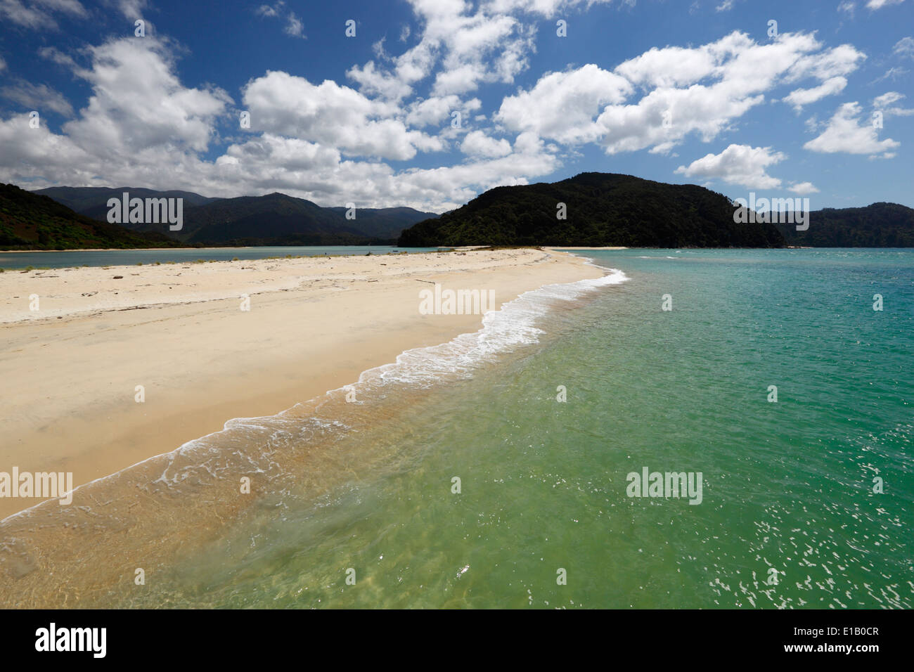 Awaroa beach, Parc National d'Abel Tasman, région de Nelson, île du Sud, Nouvelle-Zélande, Pacifique Sud Banque D'Images