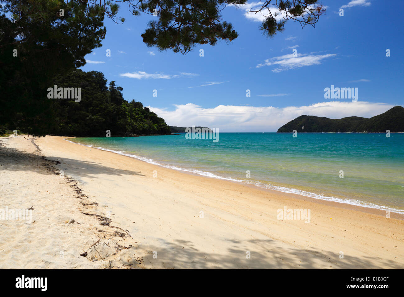 Apple Tree Bay Beach, parc national d'Abel Tasman, région de Nelson, île du Sud, Nouvelle-Zélande, Pacifique Sud Banque D'Images