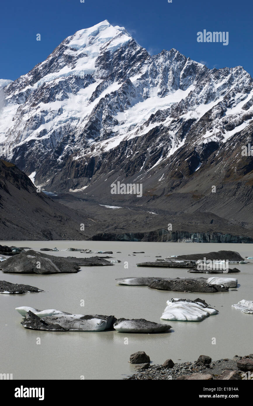Hooker Lake et le Mont Cook, Mount Cook National Park, région de Canterbury, île du Sud, Nouvelle-Zélande, Pacifique Sud Banque D'Images