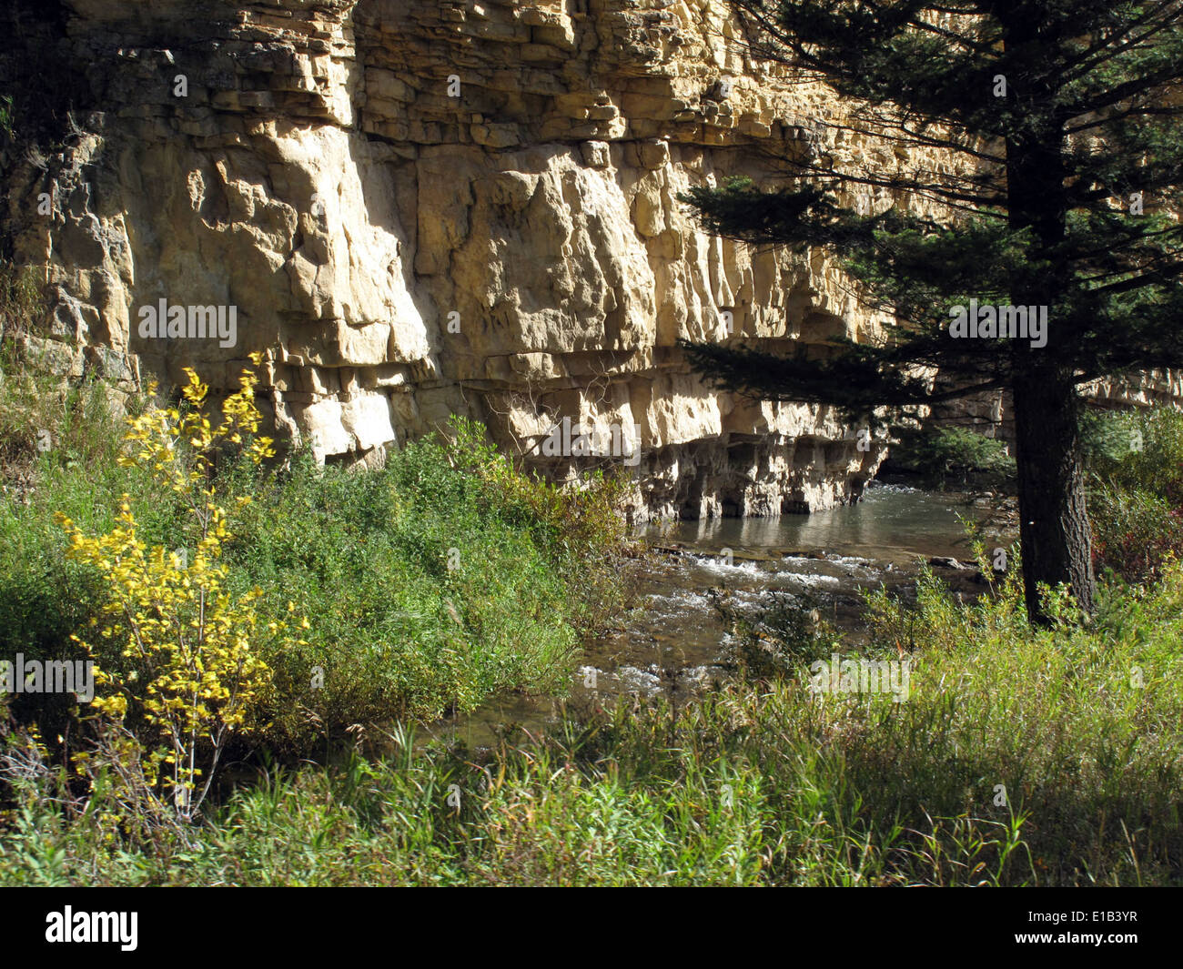 South Fork Judith River Banque D'Images