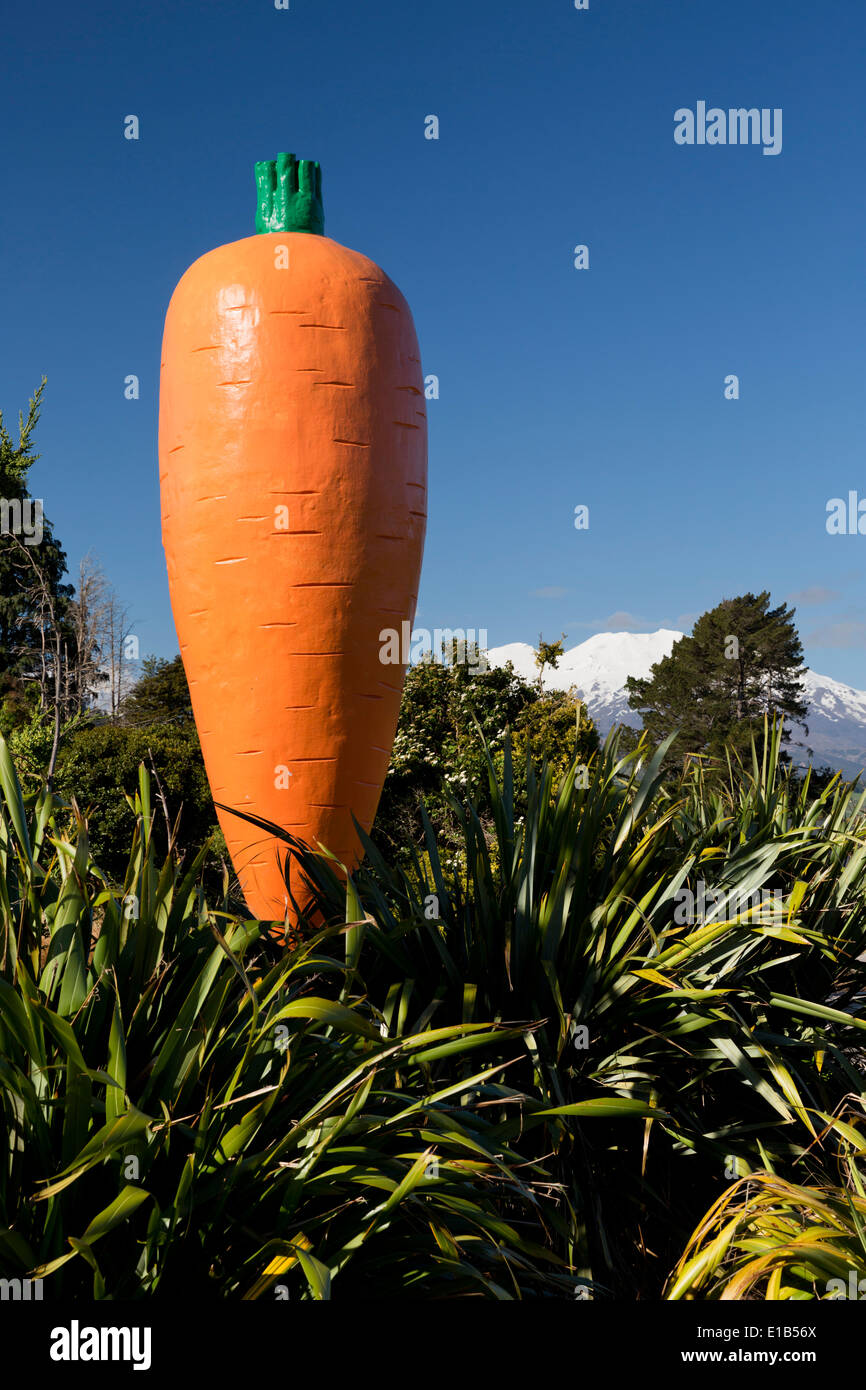 La Carotte géante et le Mont Ruapehu Banque D'Images