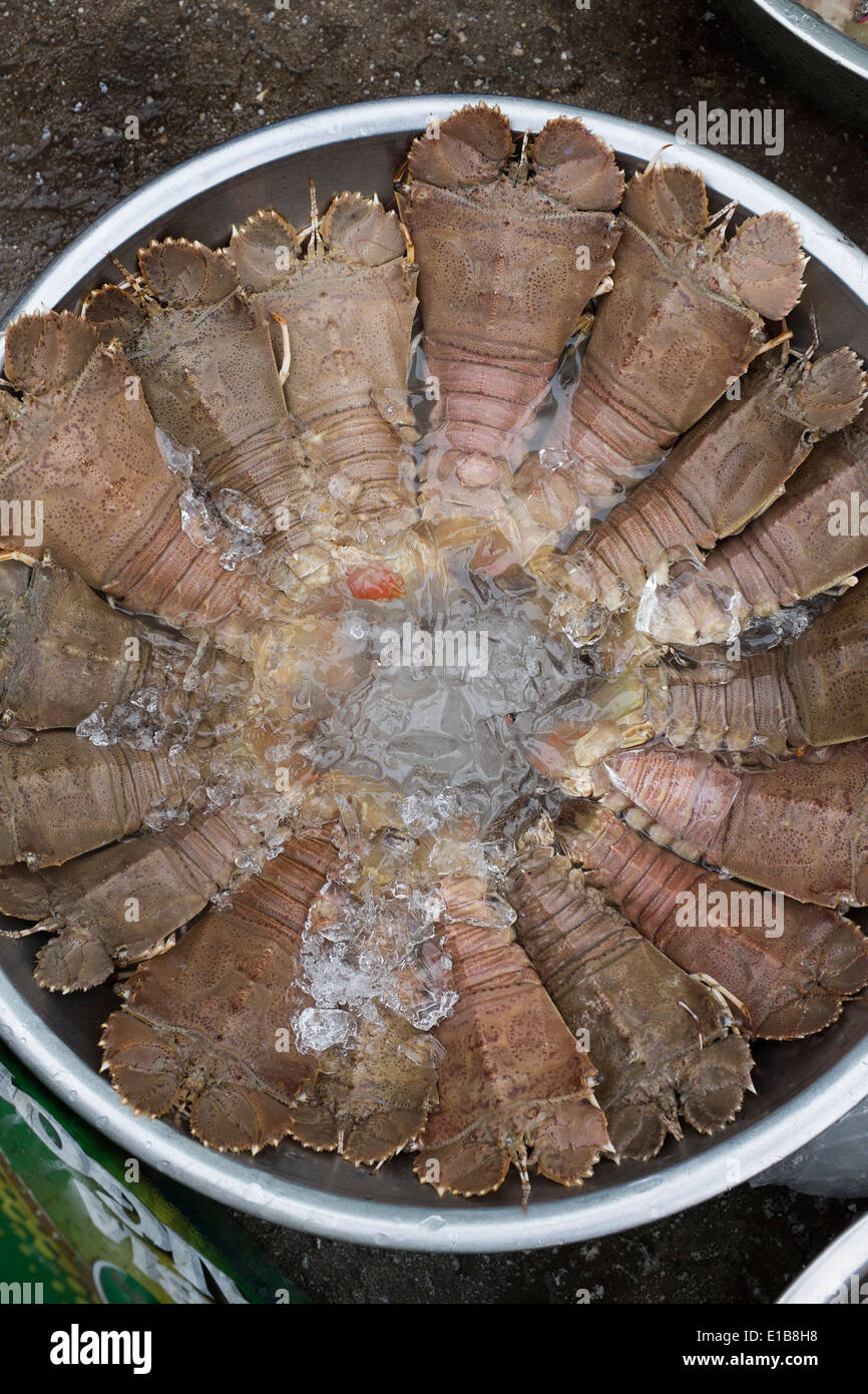 Les langoustes en vente au marché de Đông Dương île de Phu Quoc Vietnam Banque D'Images