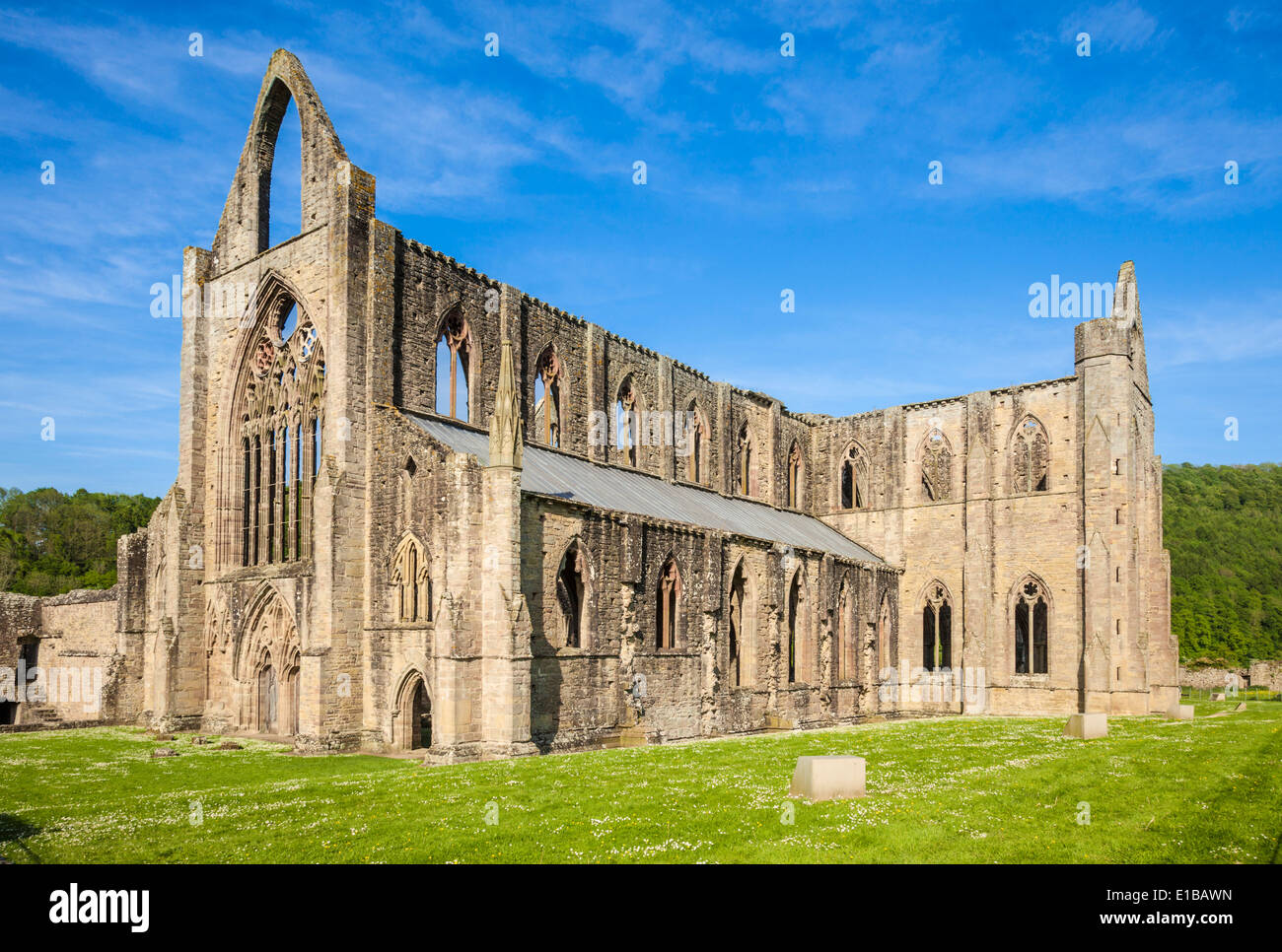 Abbaye de Tintern, Tintern, vallée de la Wye, Monmouthshire, Wales, Royaume-Uni, l'Union européenne, de l'Europe Banque D'Images